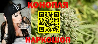 СК Будённовск