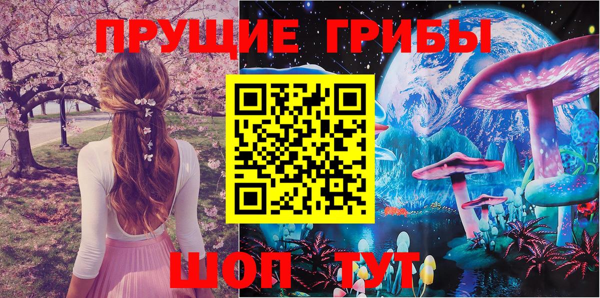 Галлюциногенные грибы Magic Shrooms  Вход с VPN  Псилоцибиновые грибы GOLDEN TEACHER  Полевской 
